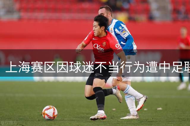 上海赛区因球迷不当行为遭中足联处罚