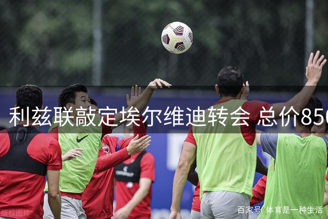 利兹联敲定埃尔维迪转会 总价850万镑周一体检